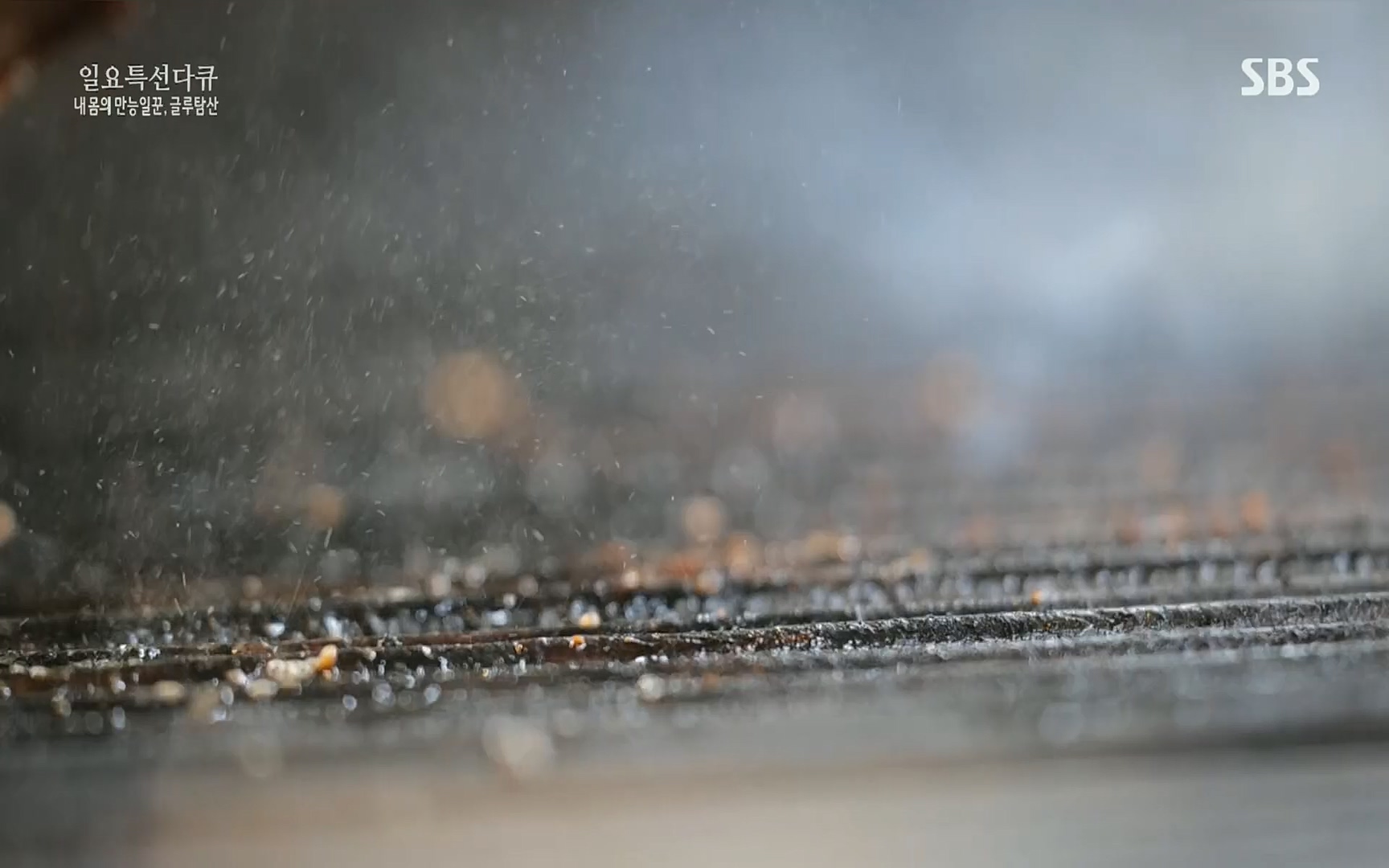 일요 특선 다큐멘터리.E283.220717p.H264-F1RST.mp4_20220718_202845.853.jpg