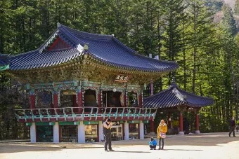 강원도 가볼만한곳 베스트10_10