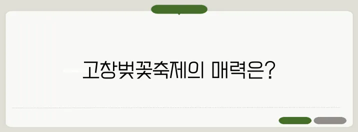 고창군 제3회 고창벚꽃축제가 4월 4일에 화려하게 시작됩니다!