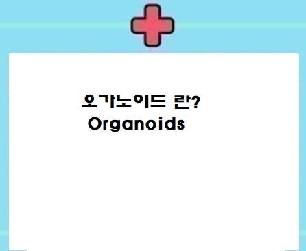  오가노이드란