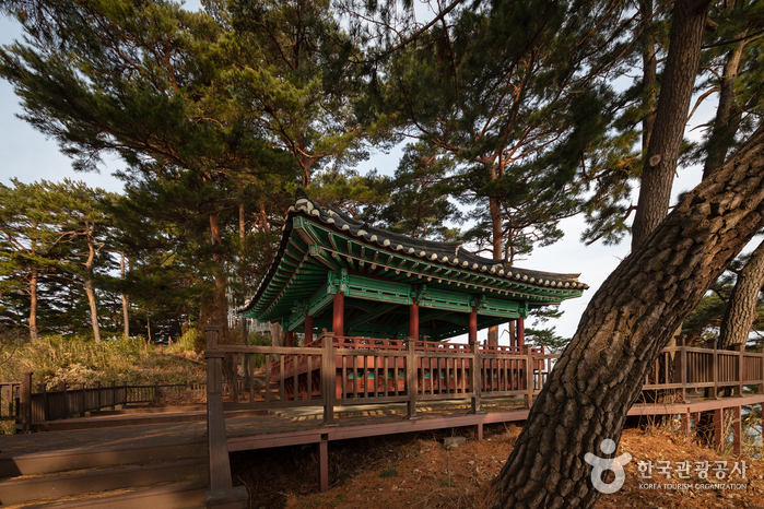 양양 가볼만한곳 베스트10