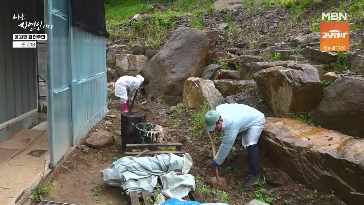 나는 자연인이다.E606.240523p-NEXT.mp4_20240523_195559.258.jpg