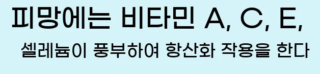  피망에는 비타민 A, C, E, 셀레늄이 풍부하여 항산화 작용을 한다