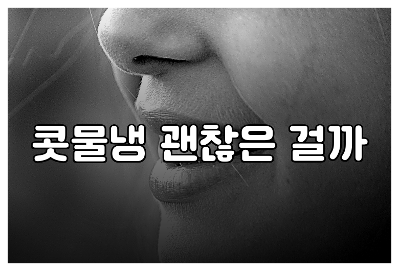 콧물냉 괜찮은 걸까