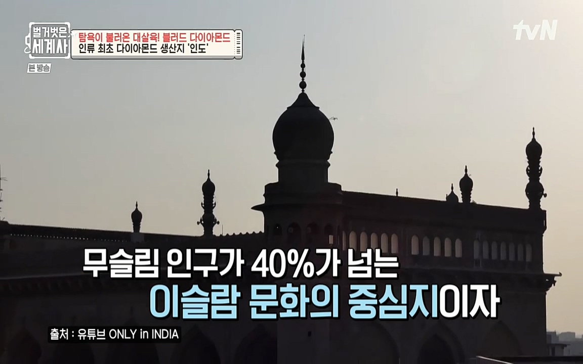 벌거벗은 세계사.E62.220831p-NEXT.mp4_20220905_195550.668.jpg