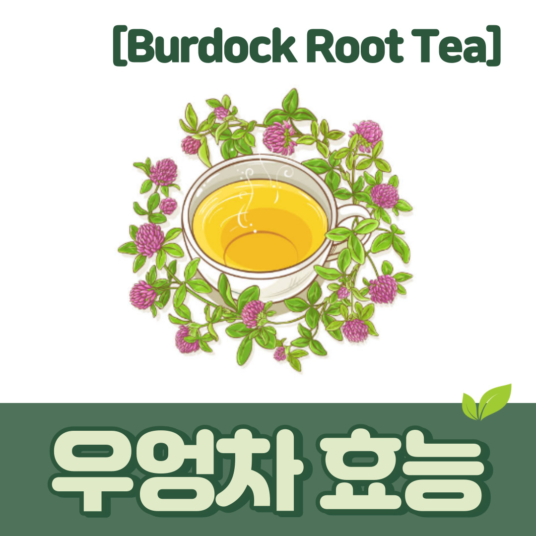 우엉차 | 효능 영양성분 부작용 만드는 방법