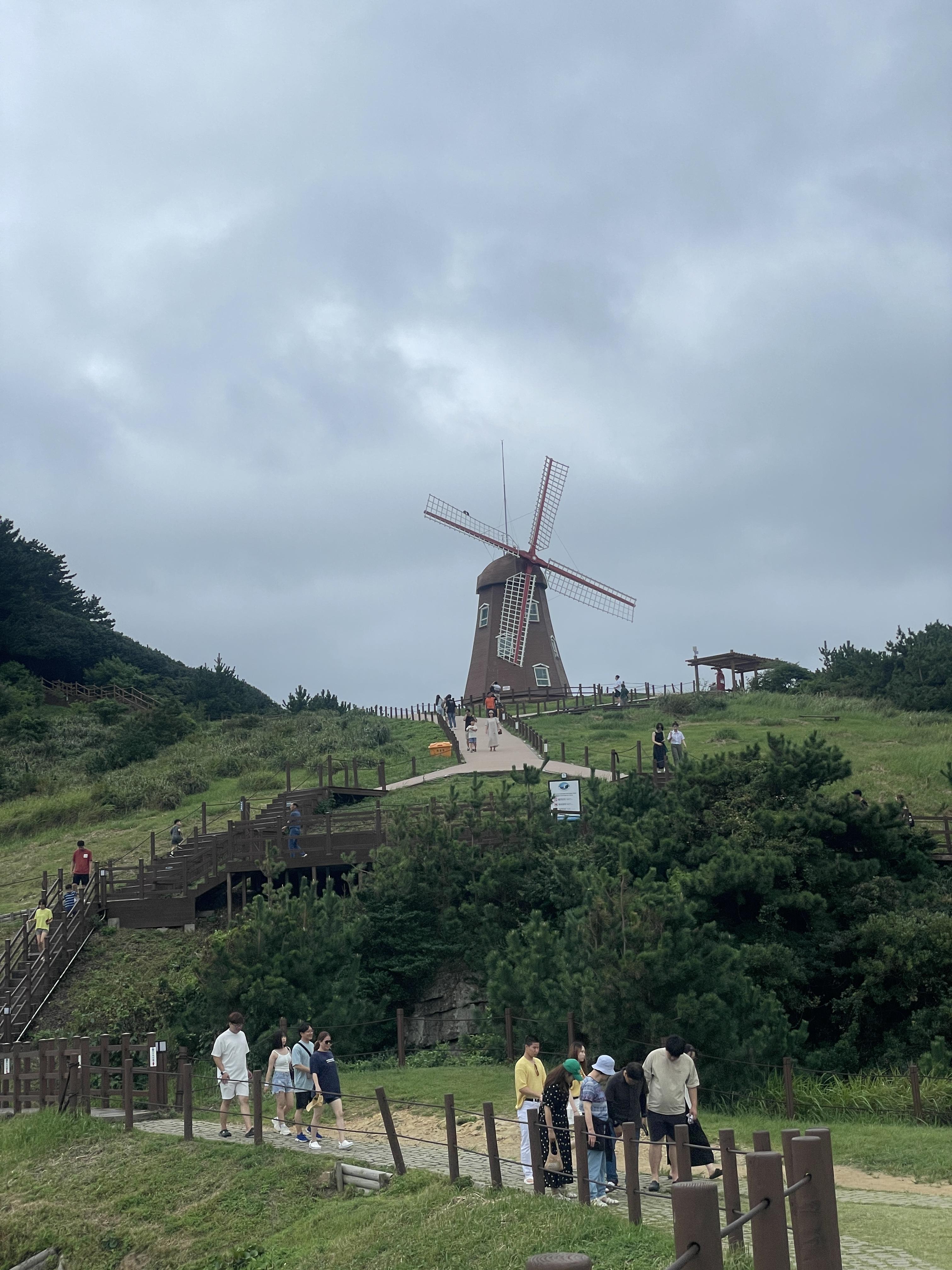 바람의언덕