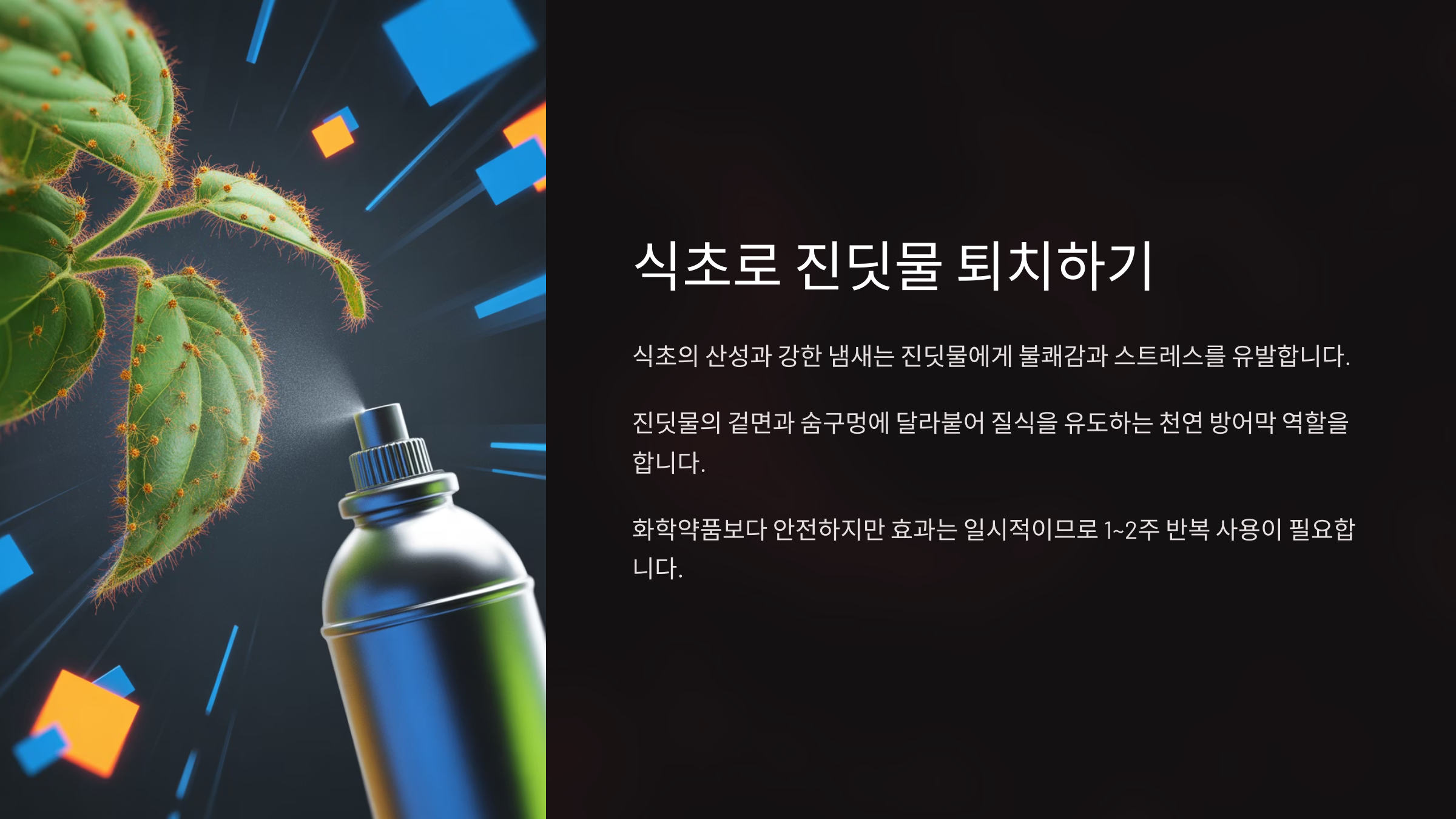 식초가 정말 진딧물 퇴치에 효과가 있을까? (원리 탐구)