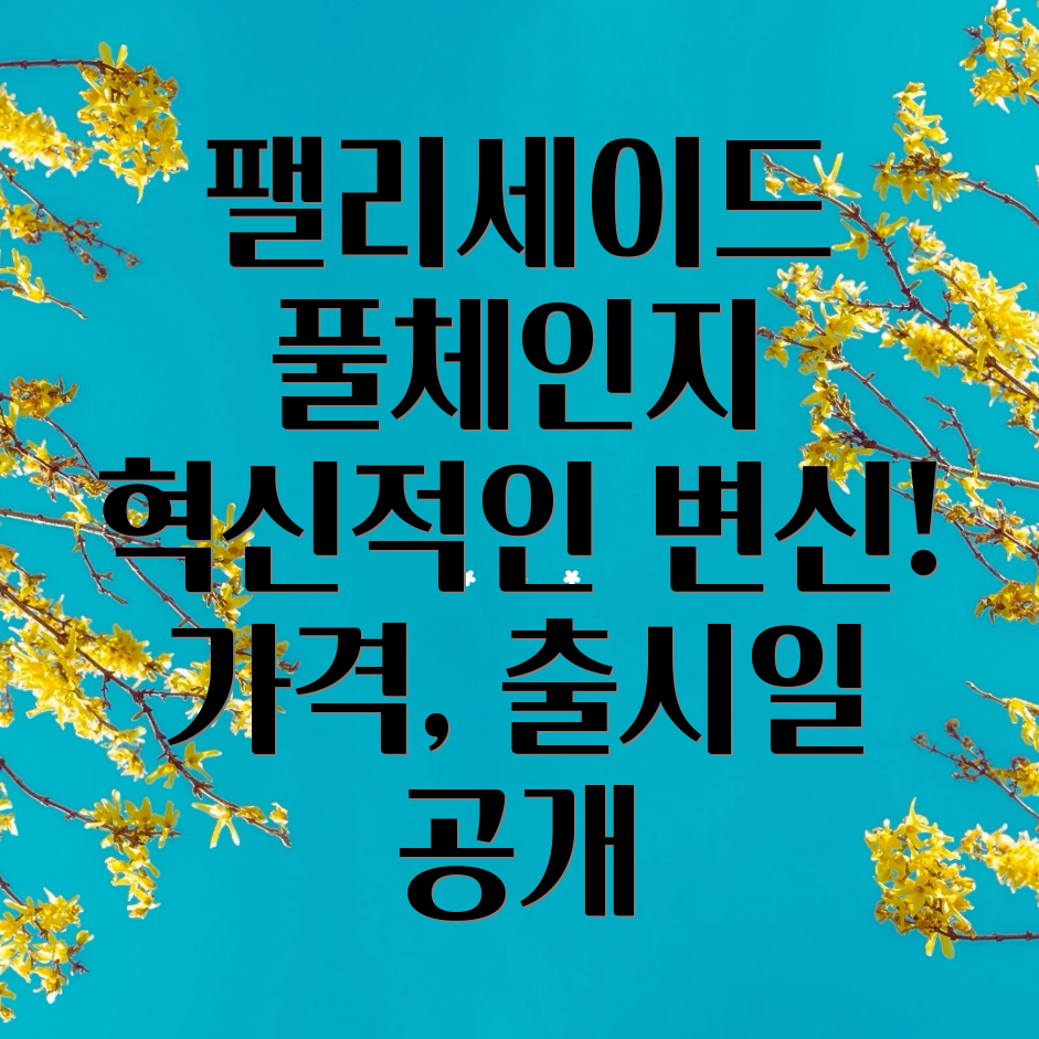 팰리세이드 풀체인지