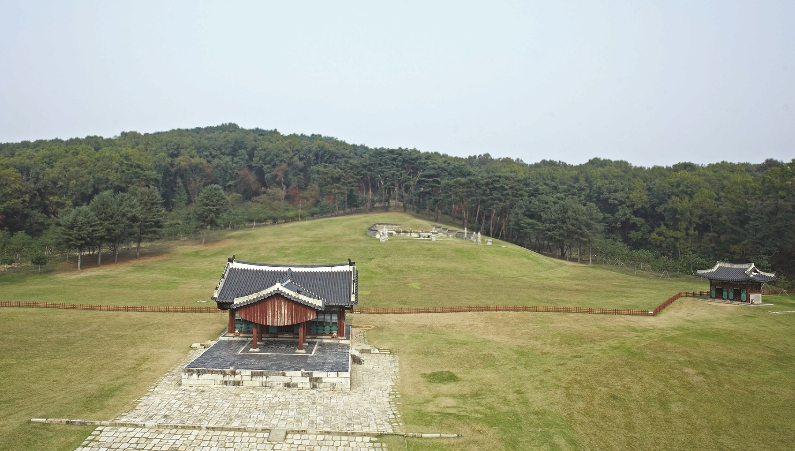 당일치기 가을여행 걷기좋은 조선왕릉 숲길 하반기 개방 9곳 기본정보 매력