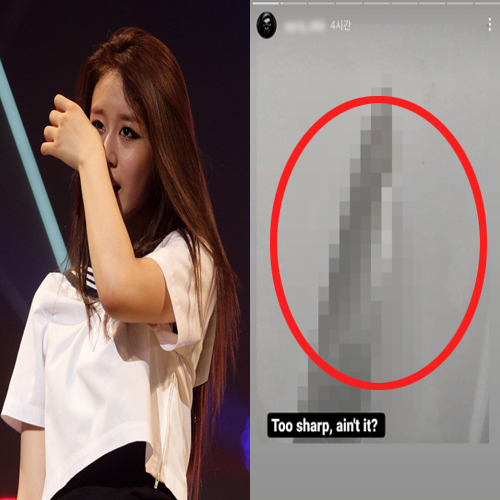  티아라 지연 살해 협박 사건. 스토커는 누구?