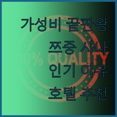가성비 끝판왕! 쯔중 '사나 라이트 