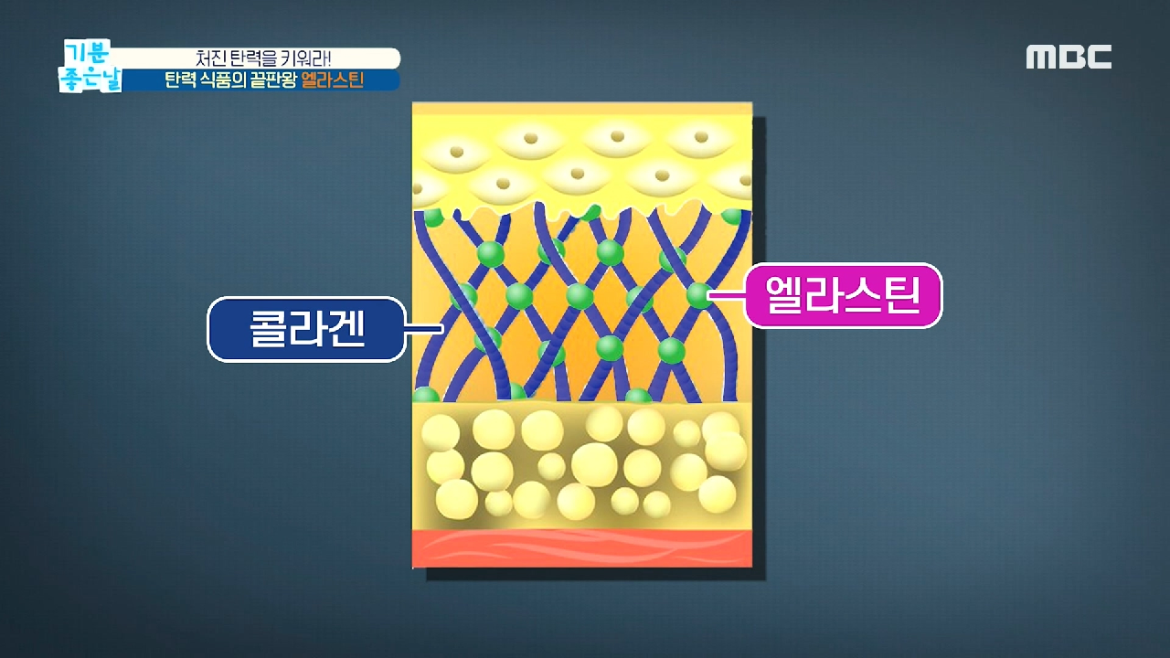  기분 좋은 날 중년 여성 불독살 예방 탄력 식품 엘라스틴 효능 효과 스쿼트/캉캉 체조 요실금 원인 증상 치료 예방 피부 뱃살 눈가 주름 목 주름 골반 혈관 탄력 솔루션 비법 뱃살 쫙 운동