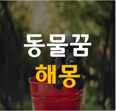 동물꿈해몽종류별정리