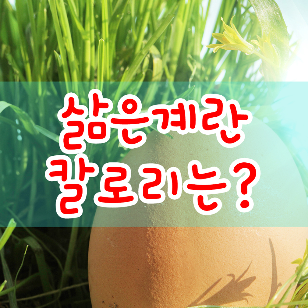 삶은계란칼로리 20 kcal 리얼? 진실은? 삶은계란칼로리 20 Kcal 리얼? 진실은?
