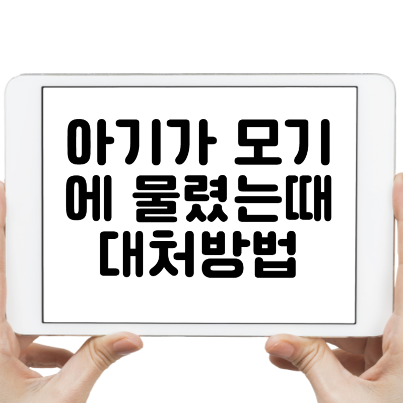 우리 아기가 모기물렸어요!