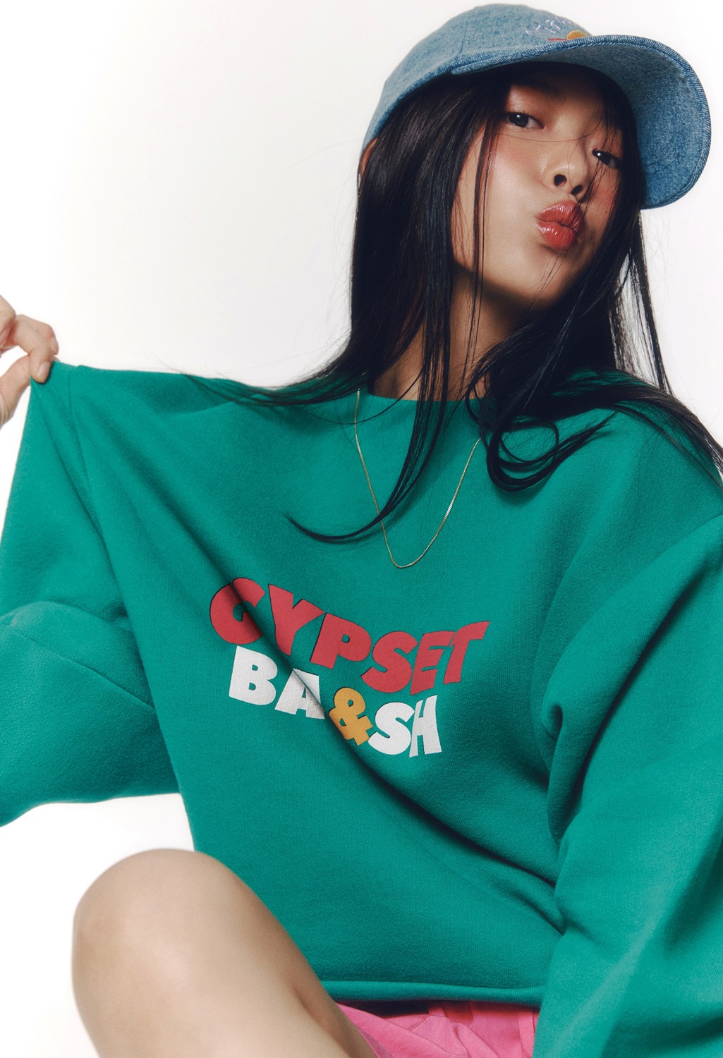 바쉬 이미지