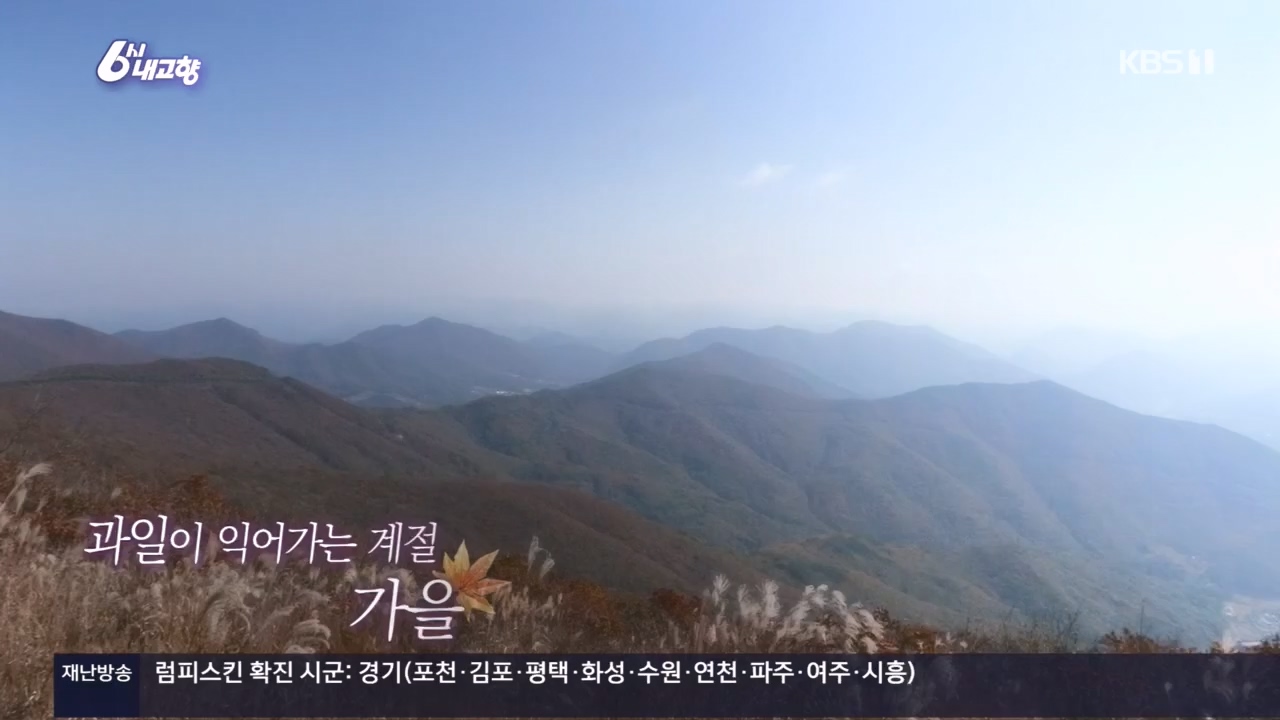 6시 내고향.E7907.231108p.H264-F1RST.mp4_20231108_204727.726.jpg