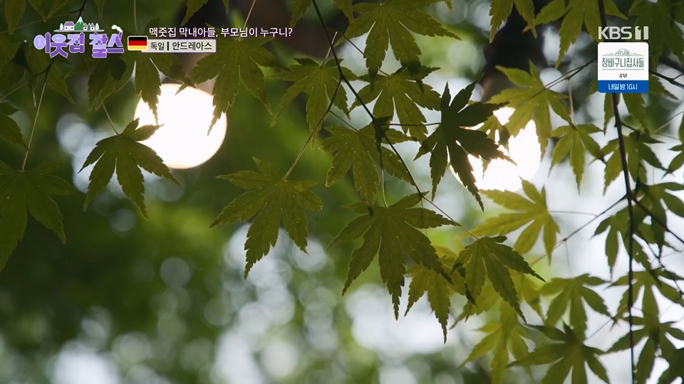이웃집 찰스.E391.230613p.H264-F1RST.mp4_20230614_203017.832.jpg