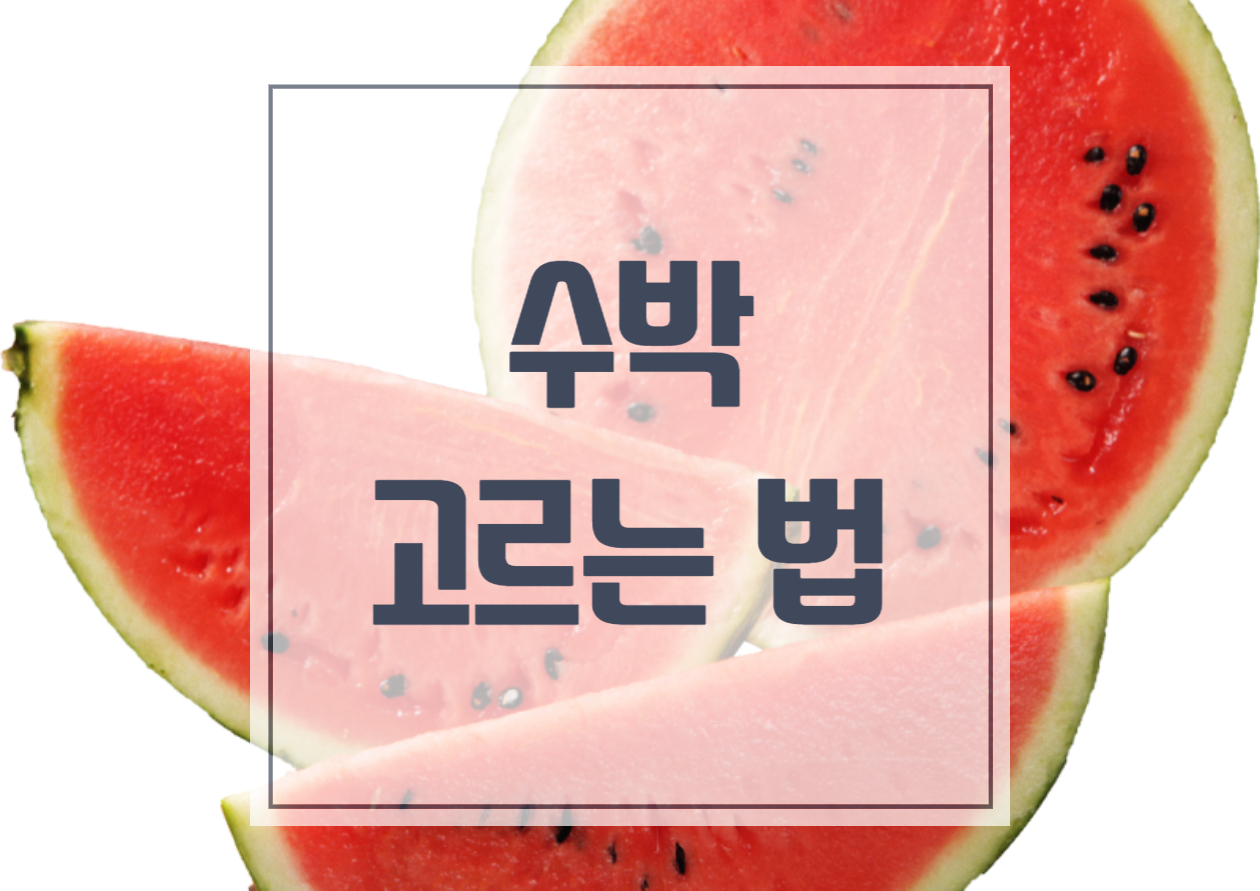  수박 고르는 법 여름과일의 왕자 화채도 맛있다.