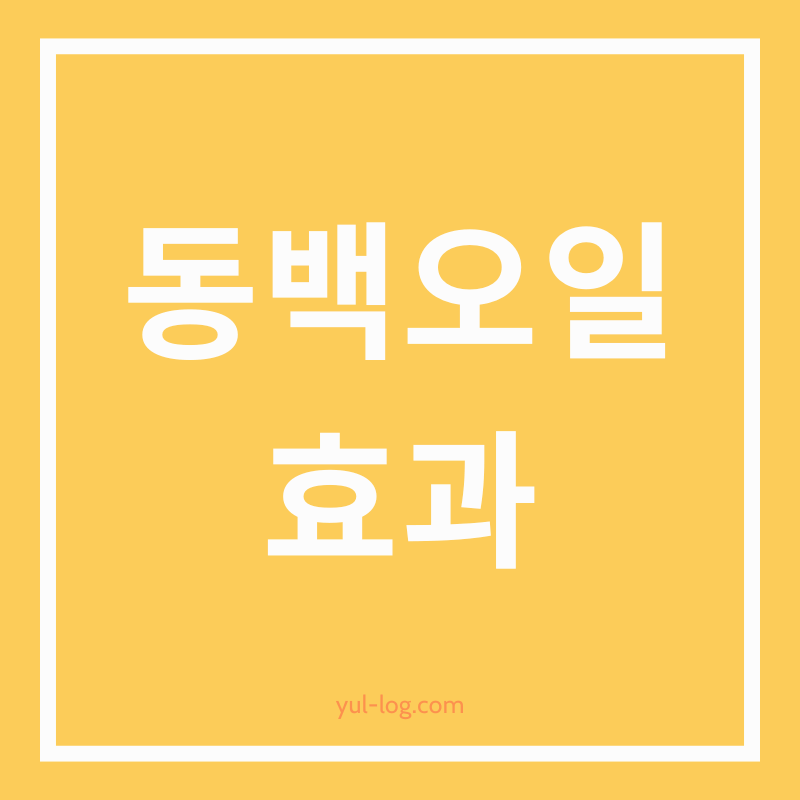 동백오일의 효과 및 활용법 주의사항 알아보기