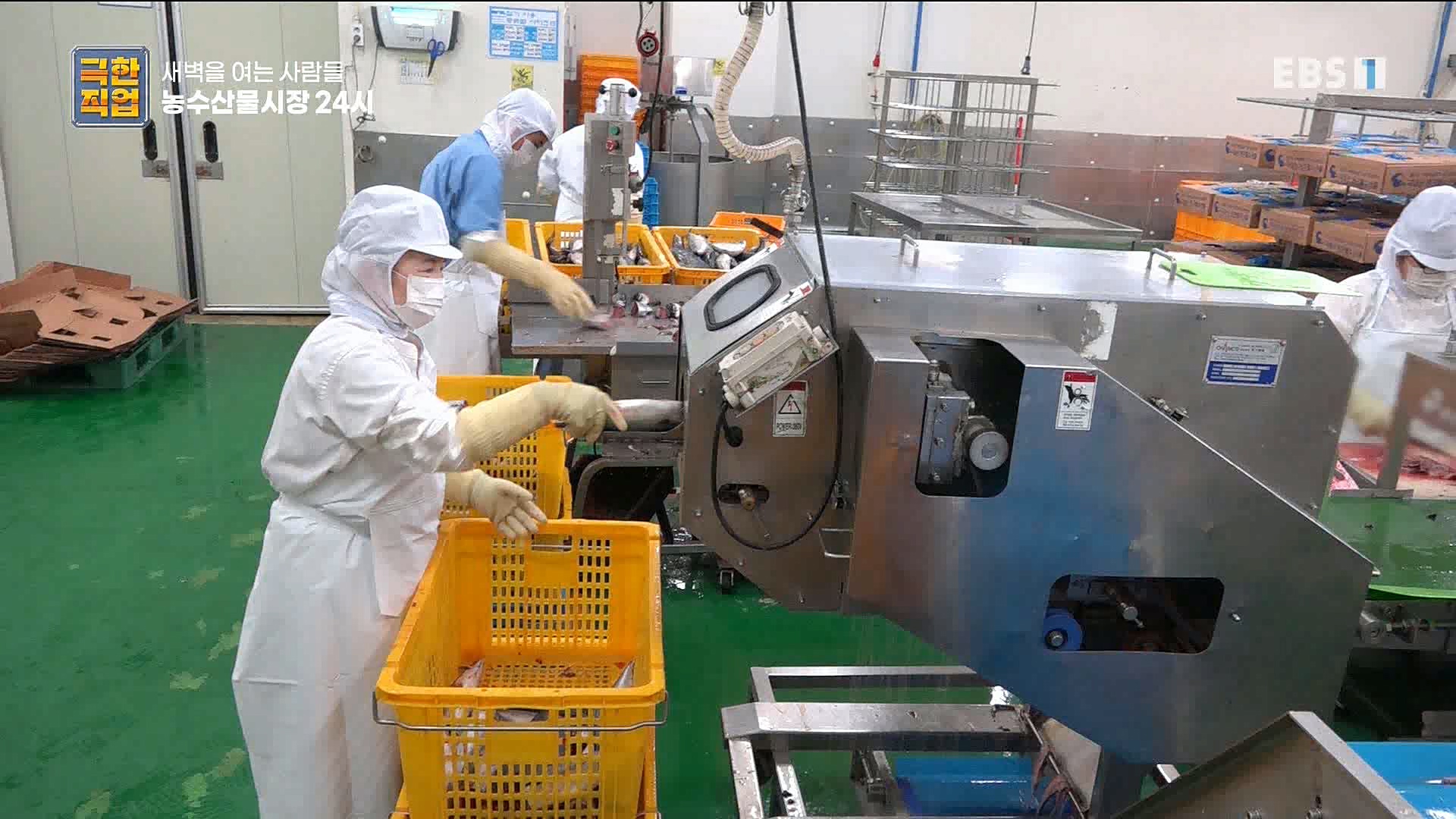 농수산물 시장 24시.mp4_20221020_161712.789.jpg