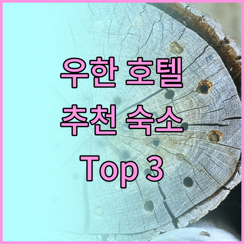 우한 호텔, 어디로 가야 할까? 20