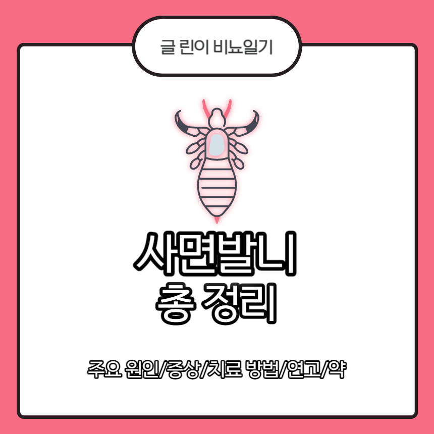  사면발니 총 정리 : 주요 원인/증상/치료 방법/연고/약