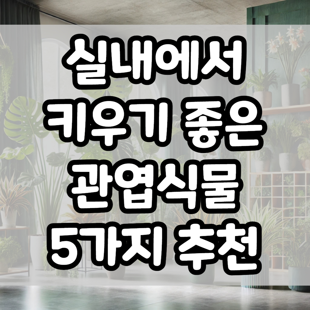 실내에서 키우기 좋은 관엽식물 5가지 추천