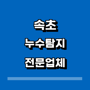 속초시 누수탐지