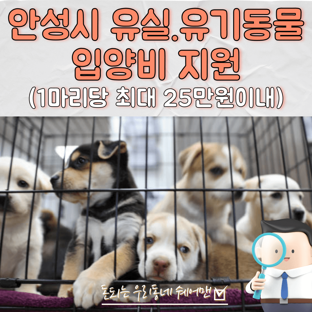  안성시 유실 유기 반려동물 입양비 지원 (유기동물관련 사이트)