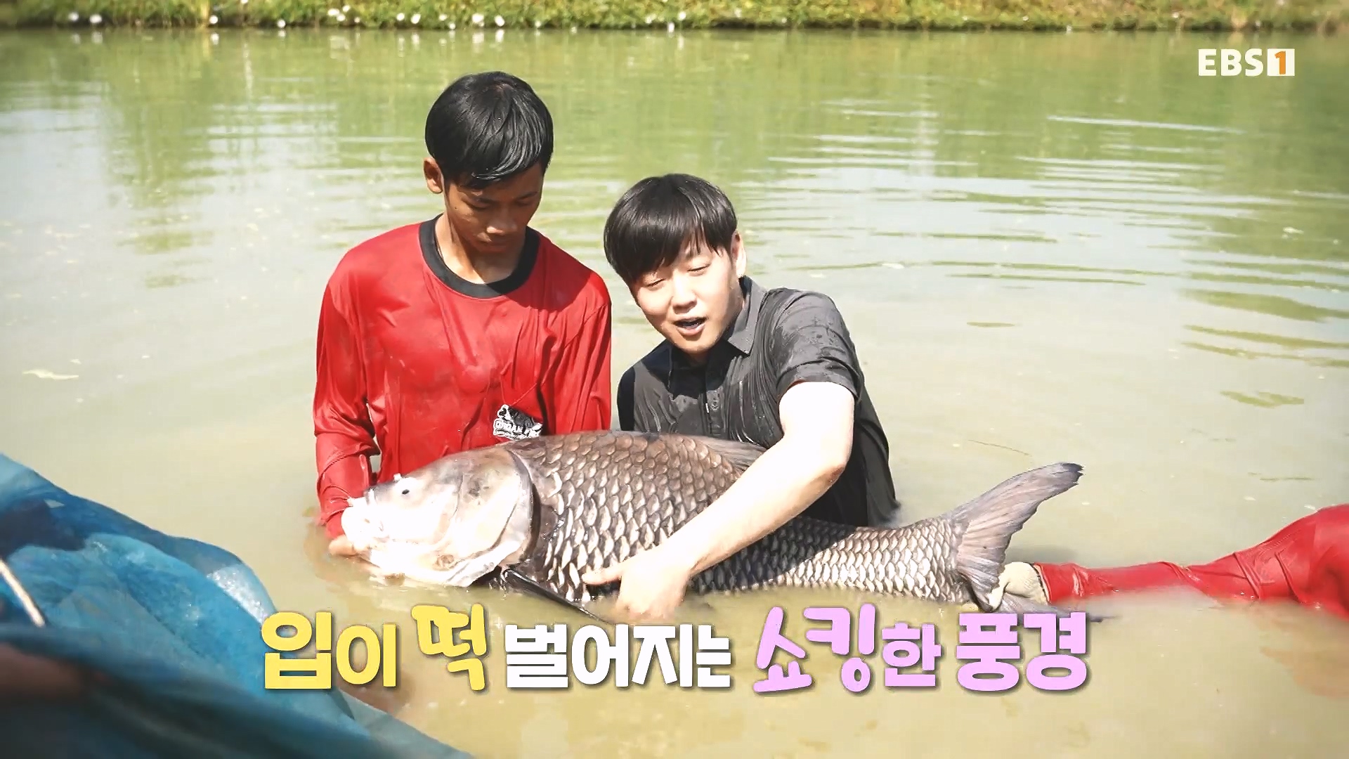 세계테마기행 240219 태국 북부 인생길 기행 -이보다 즐거울 수가!0p.mp4_20240803_160114.281.jpg
