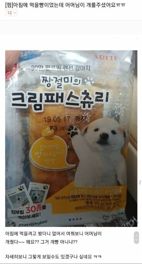  3. 1일 1짤 - 웃긴 사진 / 웃긴 짤 / 웃긴 동영상 / 유머 / 재밌는 얘기 / 웃참