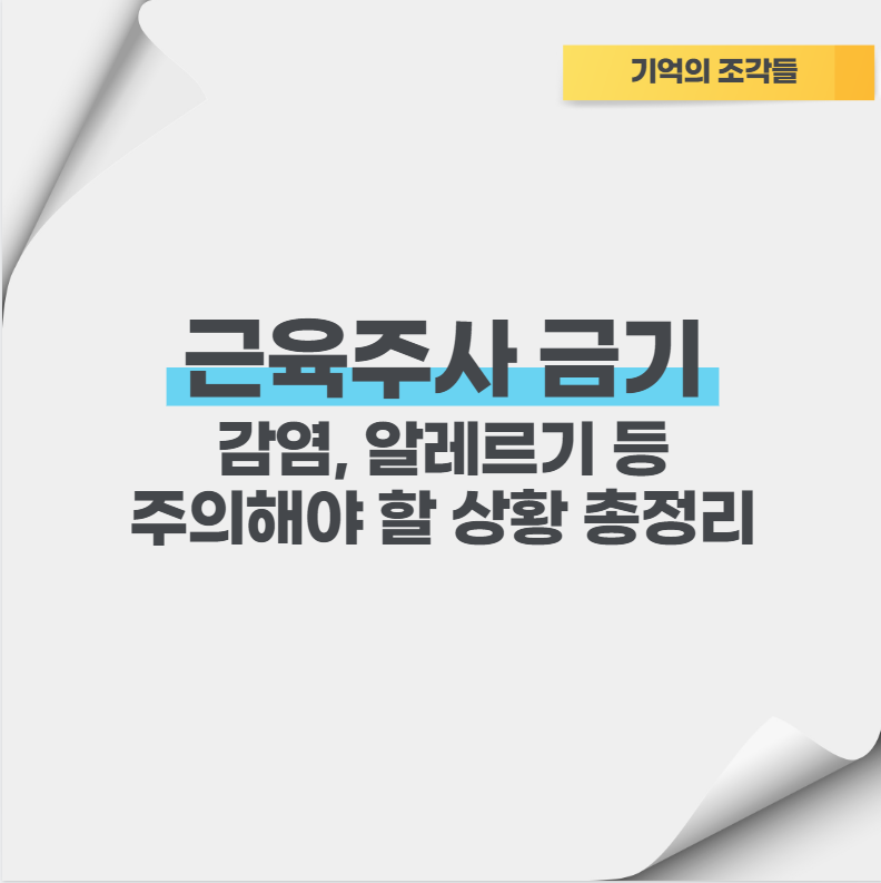 근육주사 금기 감염, 알레르기 등 주의해야 할 상황 총정리