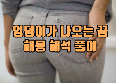  엉덩이를 보는 꿈 (만지는, 드러내는, 등등 상태나 상황)