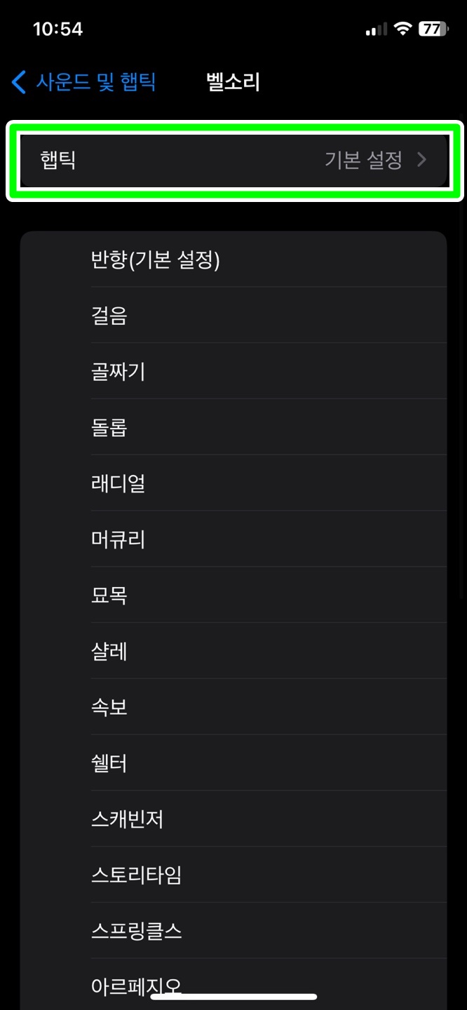 햅틱 설정