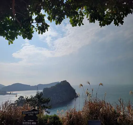 애도