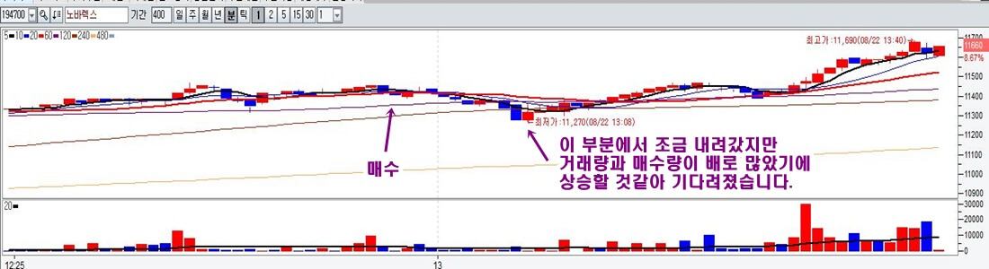 노바렉스-매수-차트