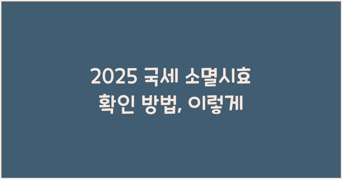 2025 국세 소멸시효 확인 방법