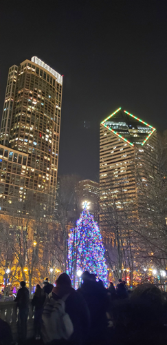 Chicago official Christmas tree in Millennium Park_1