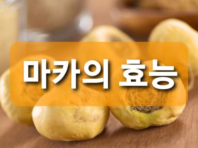 [페루의 산삼 마카] 남자한테 차~암 좋은 마카(?)
