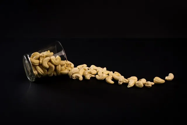 캐슈넛 효능 칼로리 섭취량_9