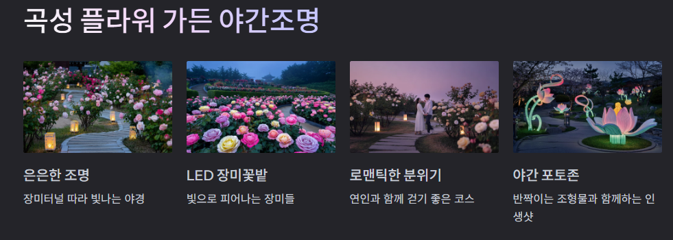 곡성 플라워 가든 야간조명