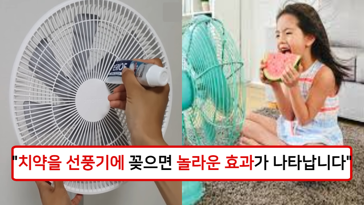 “지금 바로 치약을 선풍기에 꽂으세요” 선풍기에 치약을 바르면 놀라운 청소 효과를 경험할 수 있습니다!