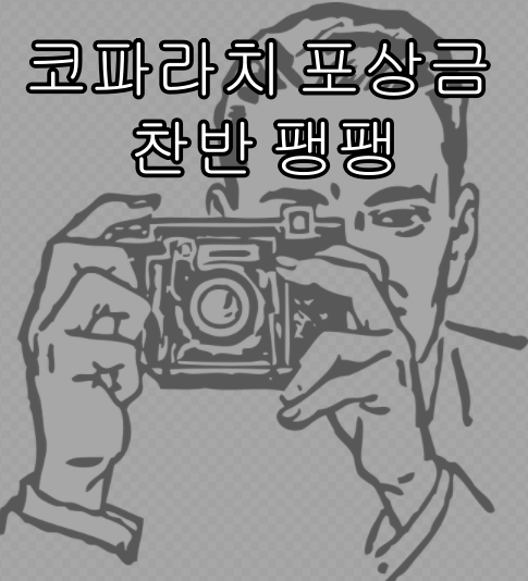  코파라치 포상금 찬반 팽팽