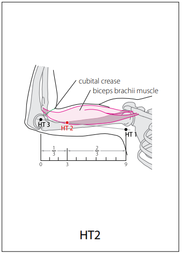 수소음심경(HT) > HT2 청령 (靑靈) 1
