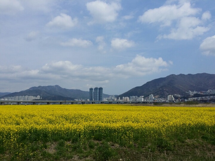  대저 생태공원
