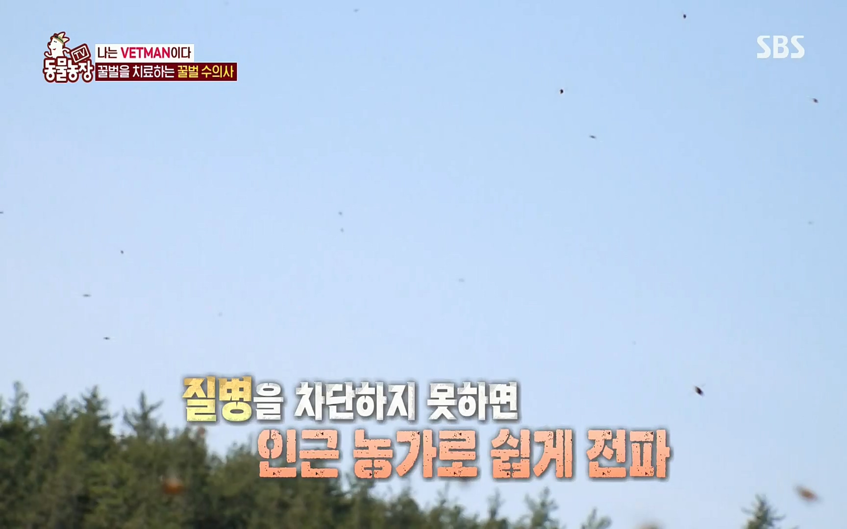 TV 동물농장.E1072.220605p.H264-F1RST.mp4_20220605_181446.293.jpg