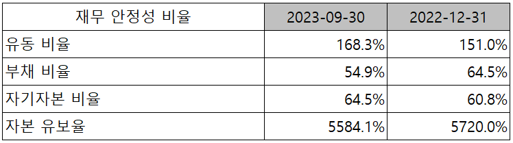 드림텍 - 재무 안정성 비율