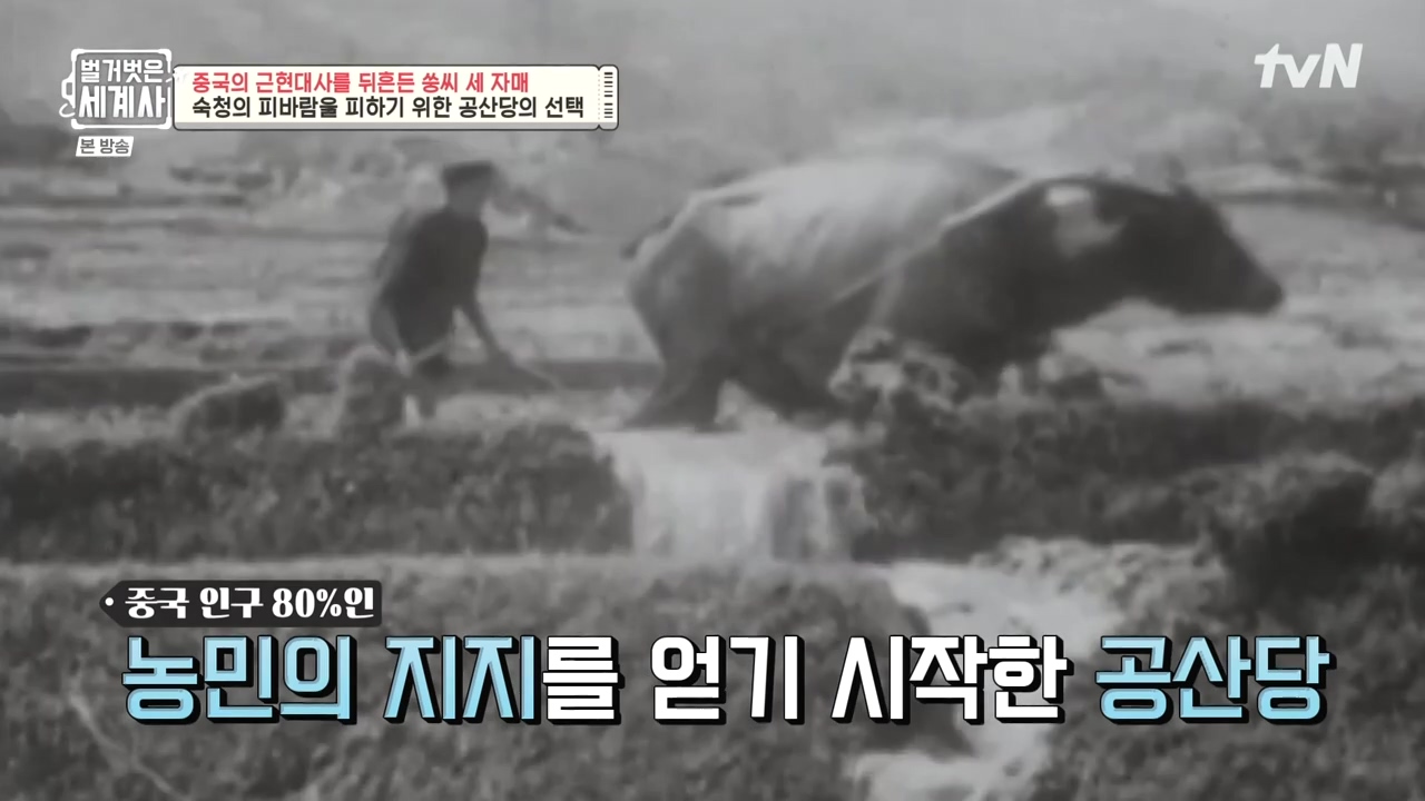 벌거벗은 세계사.E120.231011p-NEXT.mp4_20240513_203341.787.jpg
